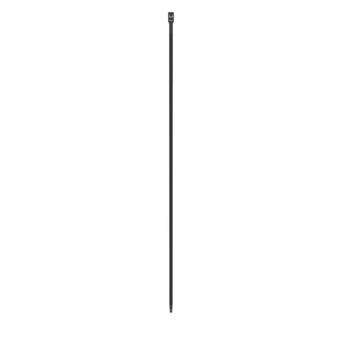 2279453.jpg