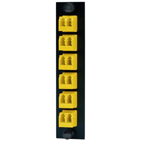 3535371.JPG