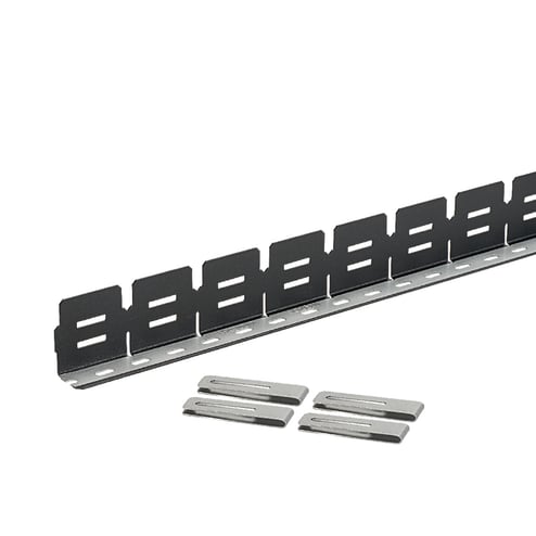 2383046.jpg