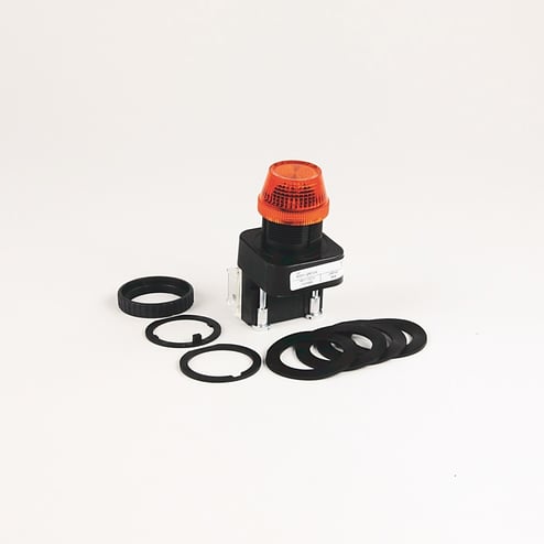 6256.JPG