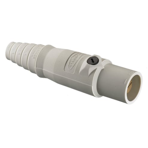 2023641.JPG