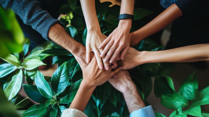 Sustainability Team Hands