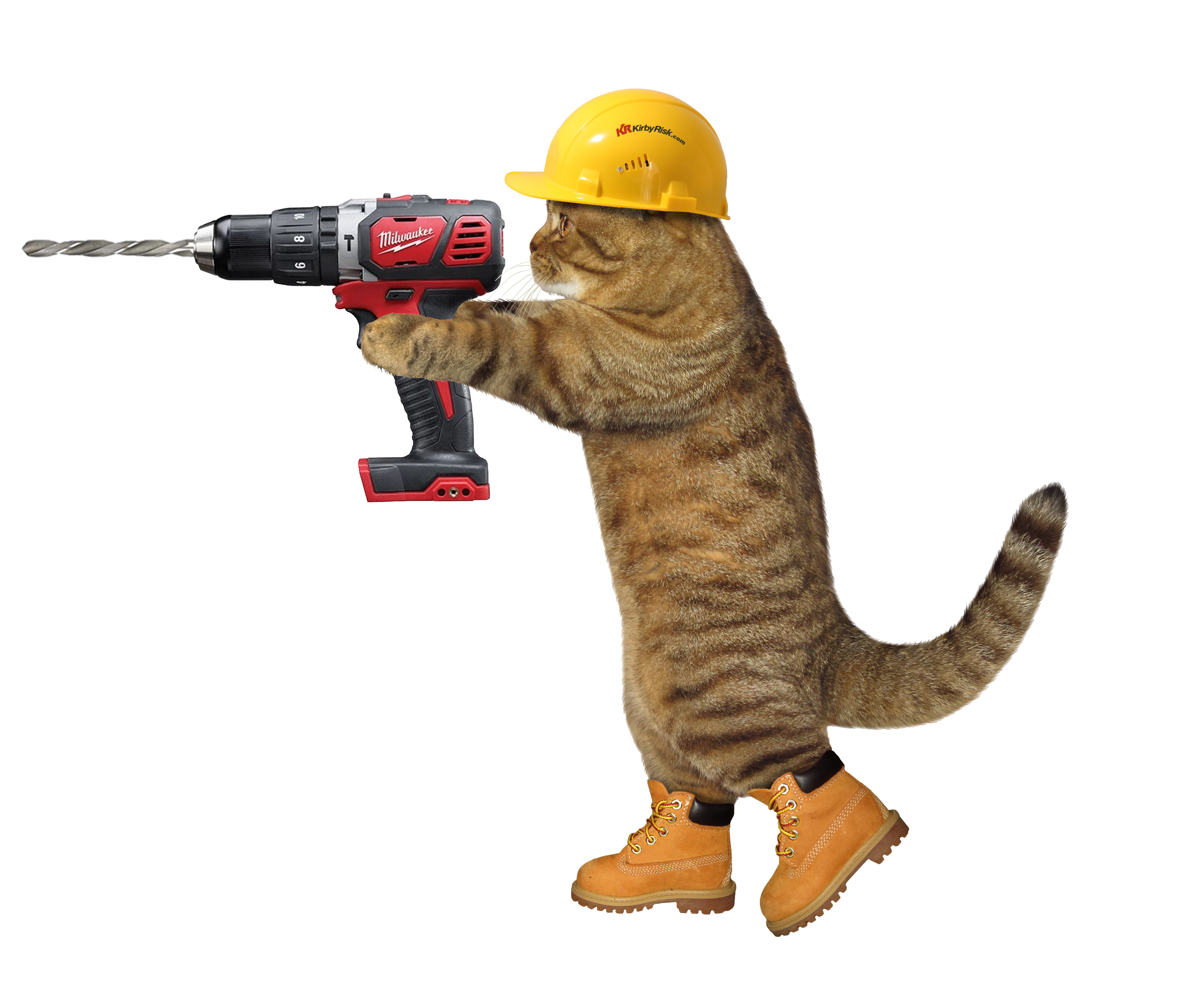 Cat wearing a hard had while using a drill.